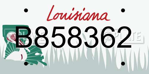 B858362 Louisiana License Plate