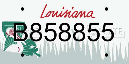 B858855 Louisiana License Plate