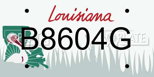 B8604G Louisiana License Plate