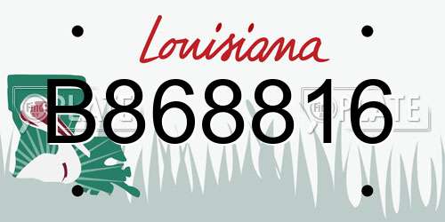 B868816 Louisiana License Plate