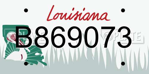 B869073 Louisiana License Plate