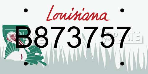 B873757 Louisiana License Plate