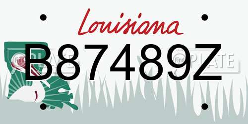 B87489Z Louisiana License Plate