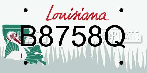 B8758Q Louisiana License Plate