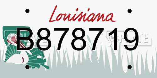 B878719 Louisiana License Plate