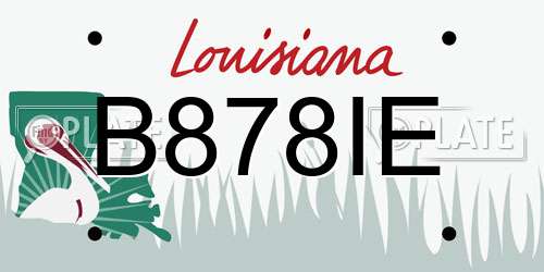 B878IE Louisiana License Plate