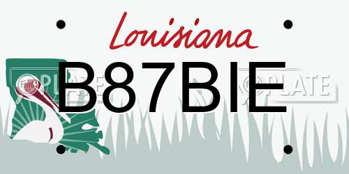 B87BIE Louisiana License Plate