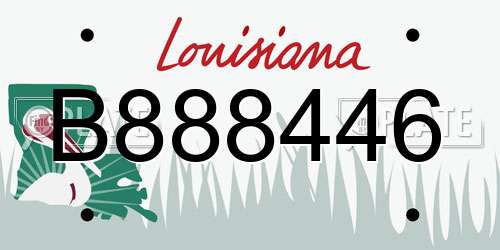 B888446 Louisiana License Plate