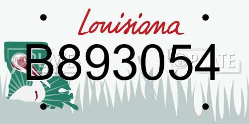 B893054 Louisiana License Plate