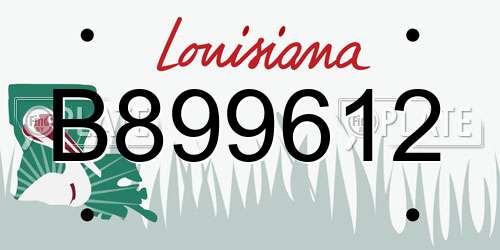 B899612 Louisiana License Plate