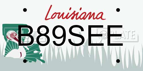 B89SEE Louisiana License Plate