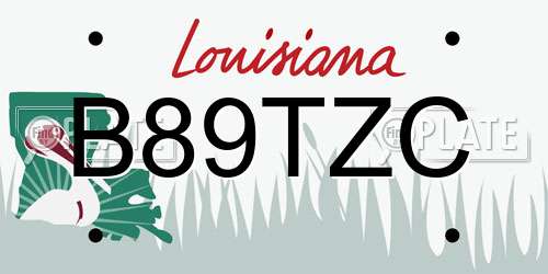 B89TZC Louisiana License Plate