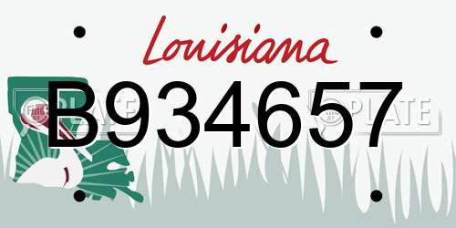 B934657 Louisiana License Plate