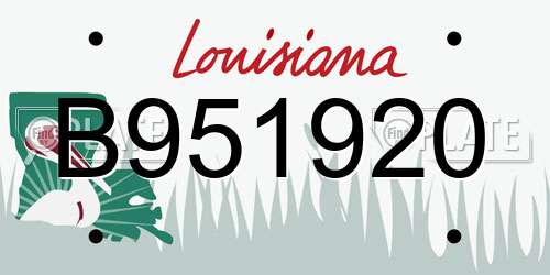B951920 Louisiana License Plate