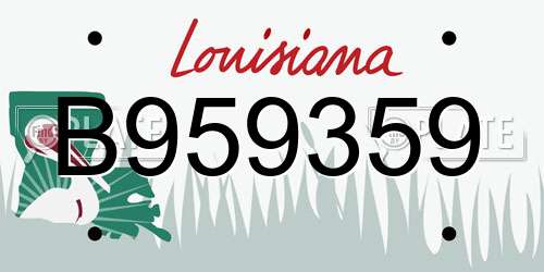 B959359 Louisiana License Plate