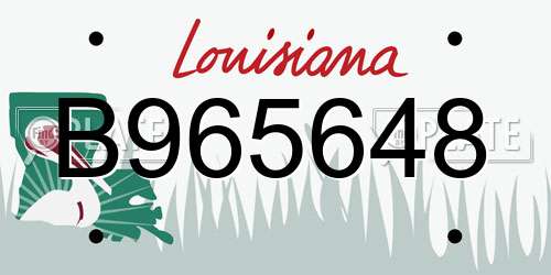 B965648 Louisiana License Plate