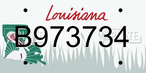 B973734 Louisiana License Plate