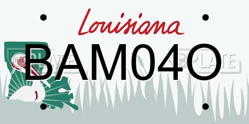 BAM04O Louisiana License Plate