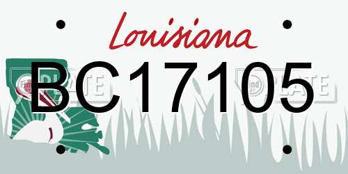 BC17105 Louisiana License Plate