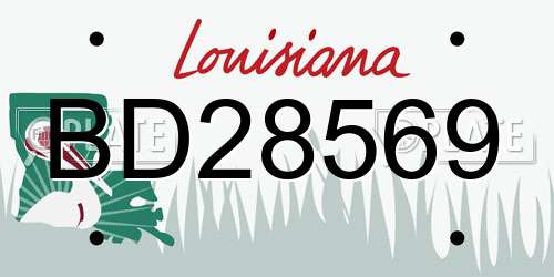 BD28569 Louisiana License Plate