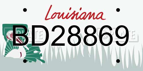 BD28869 Louisiana License Plate