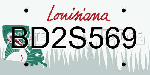 BD2S569 Louisiana License Plate