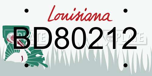 BD80212 Louisiana License Plate