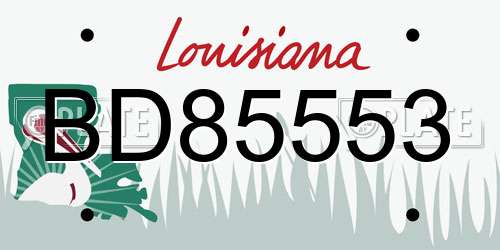 BD85553 Louisiana License Plate