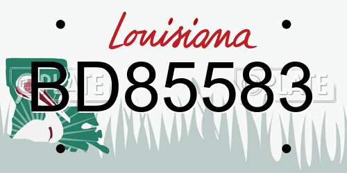 BD85583 Louisiana License Plate