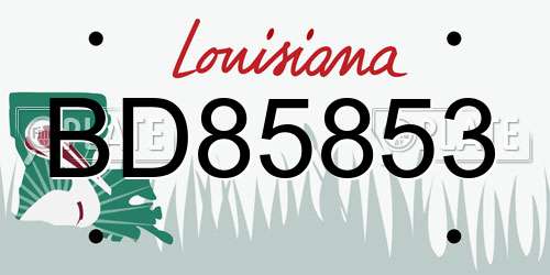 BD85853 Louisiana License Plate