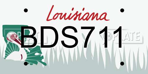 BDS711 Louisiana License Plate