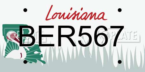 BER567 Louisiana License Plate