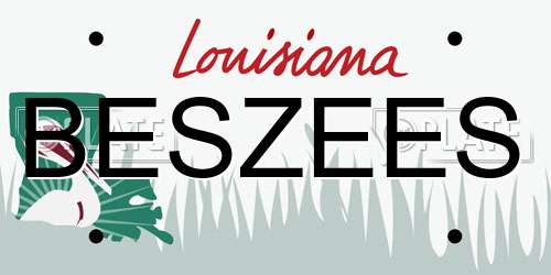BESZEES Louisiana License Plate