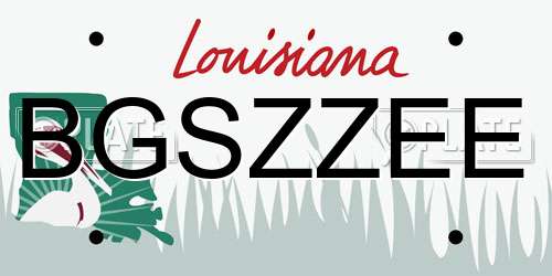 BGSZZEE Louisiana License Plate
