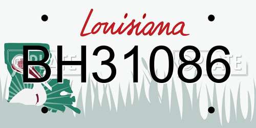 BH31086 Louisiana License Plate