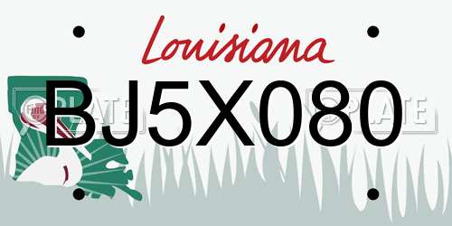 BJ5X080 Louisiana License Plate