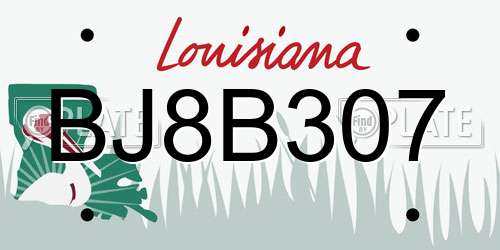 BJ8B307 Louisiana License Plate