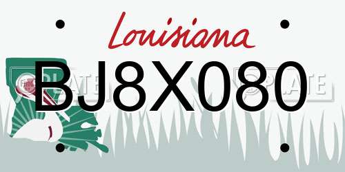 BJ8X080 Louisiana License Plate