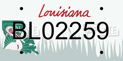 BL02259 Louisiana License Plate