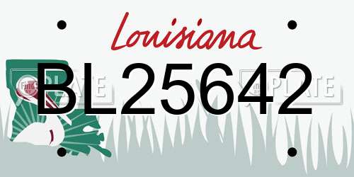 BL25642 Louisiana License Plate