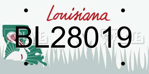 BL28019 Louisiana License Plate