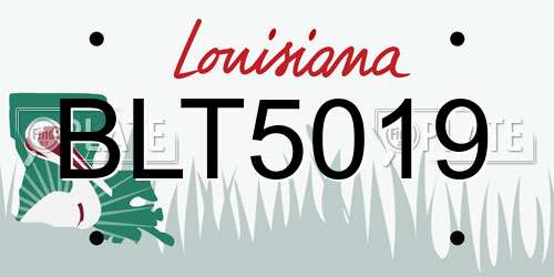 BLT5019 Louisiana License Plate