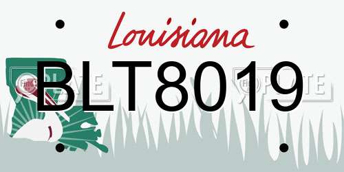 BLT8019 Louisiana License Plate