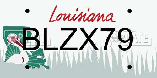 BLZX79 Louisiana License Plate