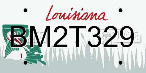 BM2T329 Louisiana License Plate