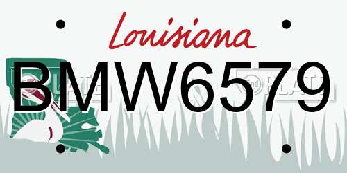 BMW6579 Louisiana License Plate