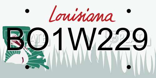 BO1W229 Louisiana License Plate