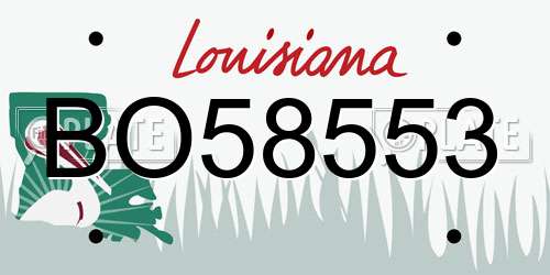 BO58553 Louisiana License Plate