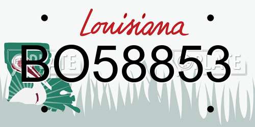 BO58853 Louisiana License Plate