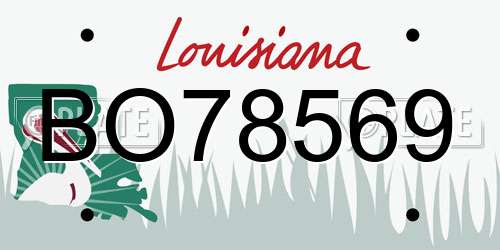 BO78569 Louisiana License Plate